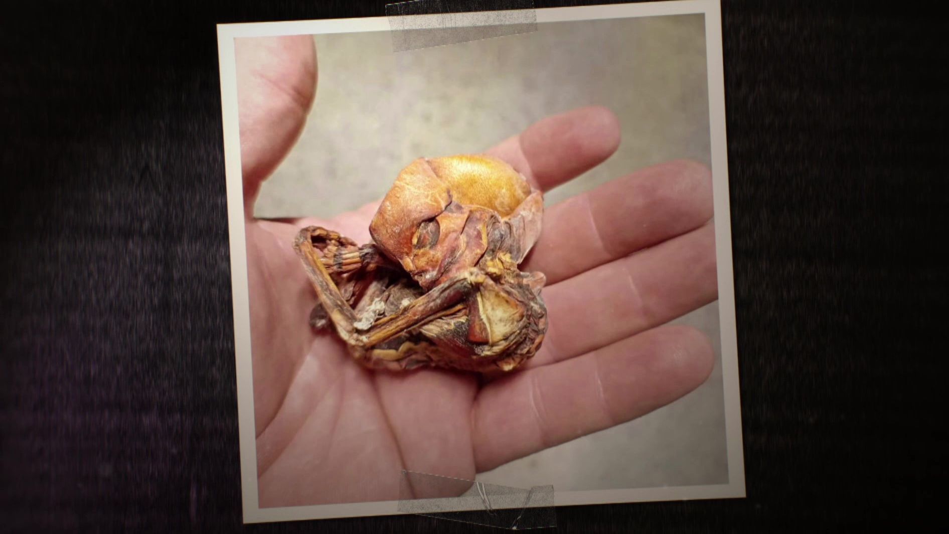 Cuarto Milenio Cuarto Milenio