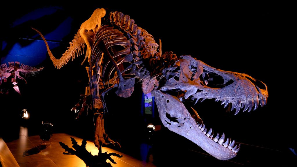 Réplica esqueleto Tyrannosaurus rex en el Museo Paleontológico (Dinópolis)