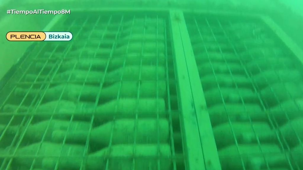 Bodegas submarinas: cosechas de vino que han madurado a 20 metros bajo el nivel del mar