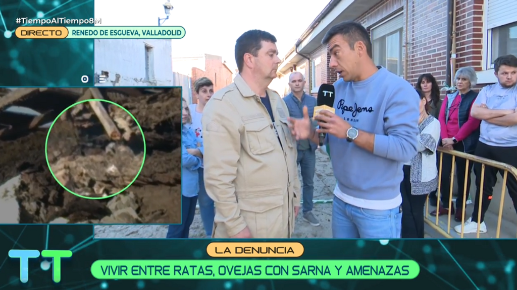 La dramática situación que atraviesan los vecinos de Renedo de Esgueva: viven entre ratas, ovejas con sarna y sufren amenazas
