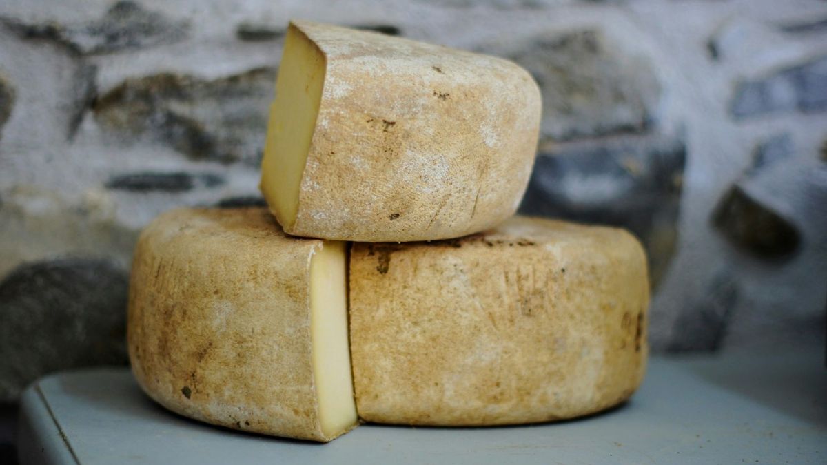 Imagen de varios quesos