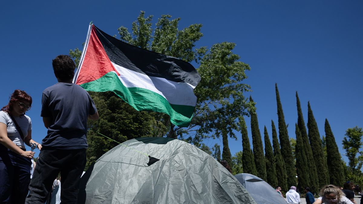 Ismael Serrano, Marwán, Juan Diego Botto o Vetusta Morla, acuden a la acampada de la UCM en apoyo a Palestina