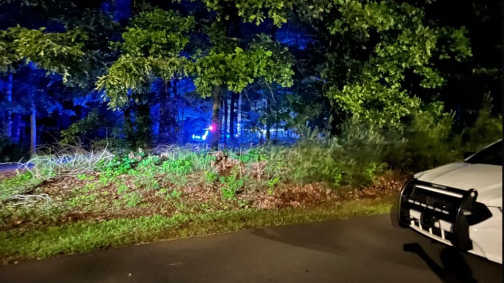 Tres niños hallados muertos en un parque de Georgia