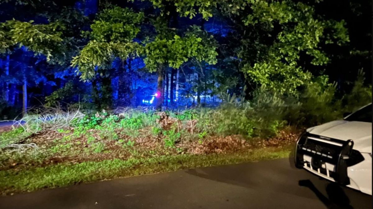 Tres niños hallados muertos en un parque de Georgia