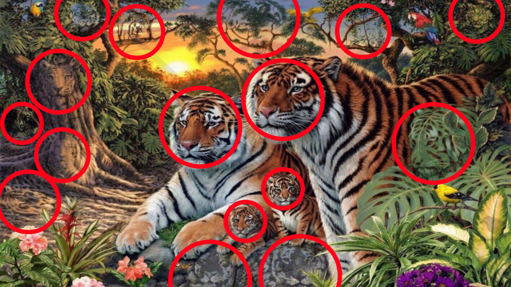 Estos son los 16 tigres que hay en la imagen ¡Esperemos que lo hayáis resuelto bien!