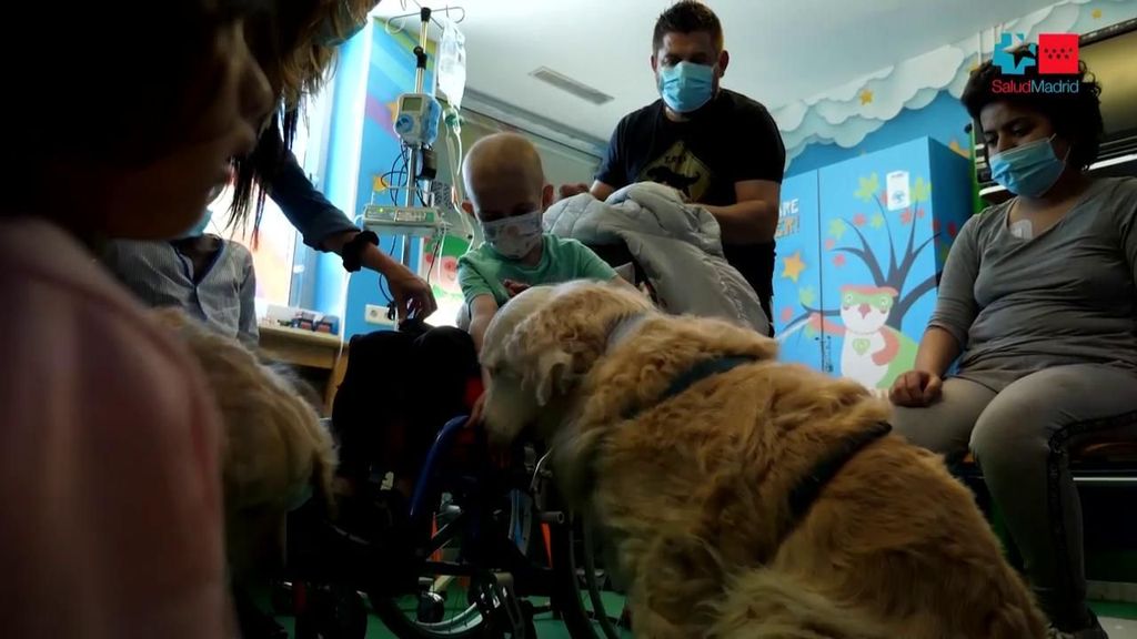 El mayor consuelo de los niños con tumor cerebral del 12 de Octubre: la terapia canina