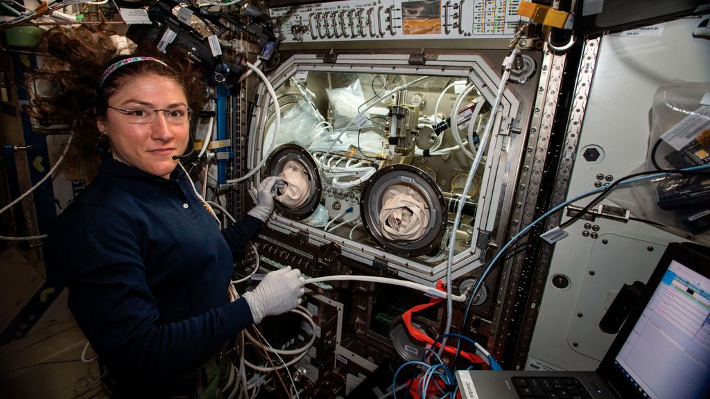La astronauta de la NASA Christina Koch realiza experimentos en la EEI para el estudio de las proteínas amiloides, que se producen en la célula ósea y en ocasiones pueden depositarse en tejidos u órganos causándoles rigidez y dificultando su funcionamiento
