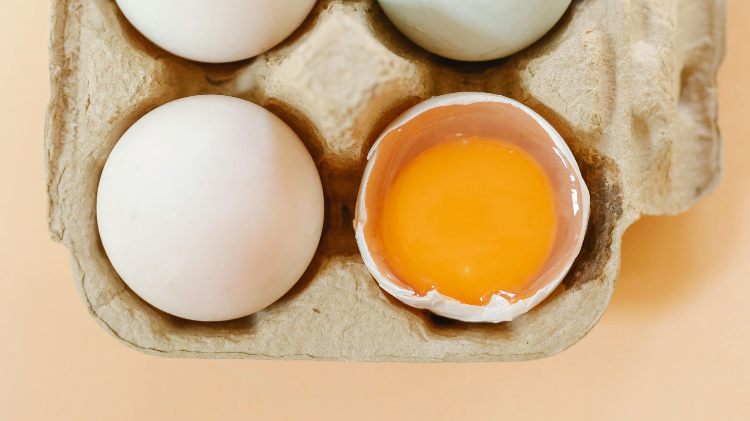 pexels klaus nielsen 6294263