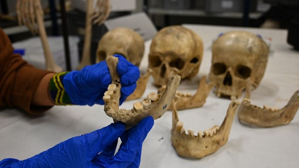 Los dientes de 84 individuos revelan la dieta mixta de pastores y agricultores de la Cataluña prehistórica