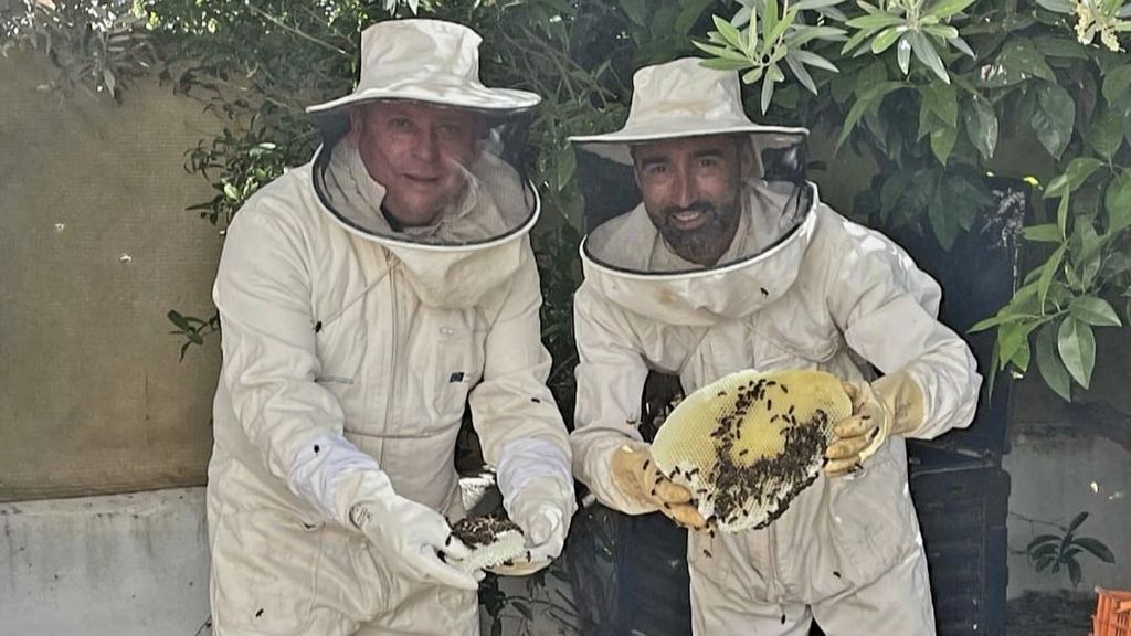 Retirada de enjambre de abejas en Cúllar Vega