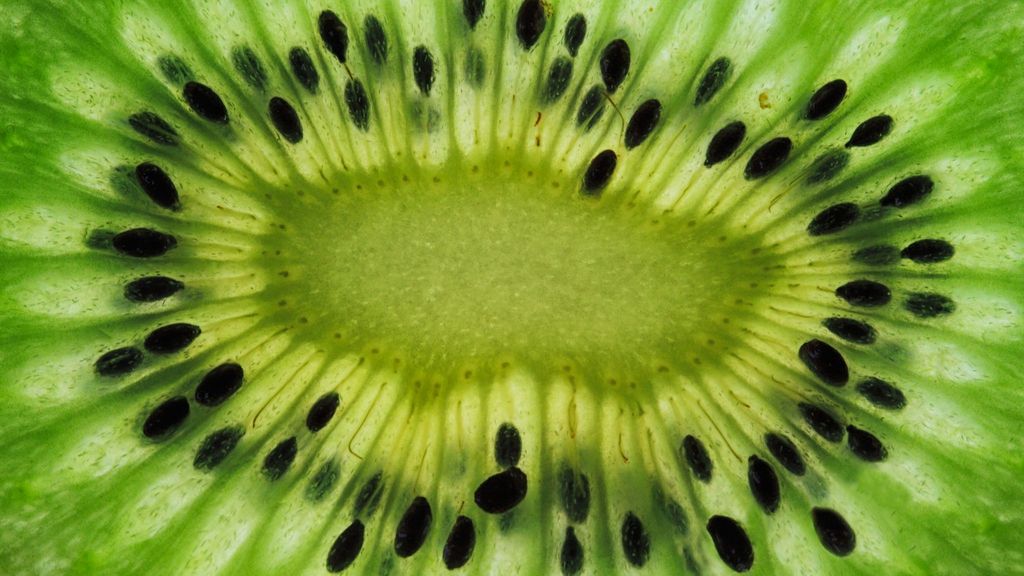 Kiwi