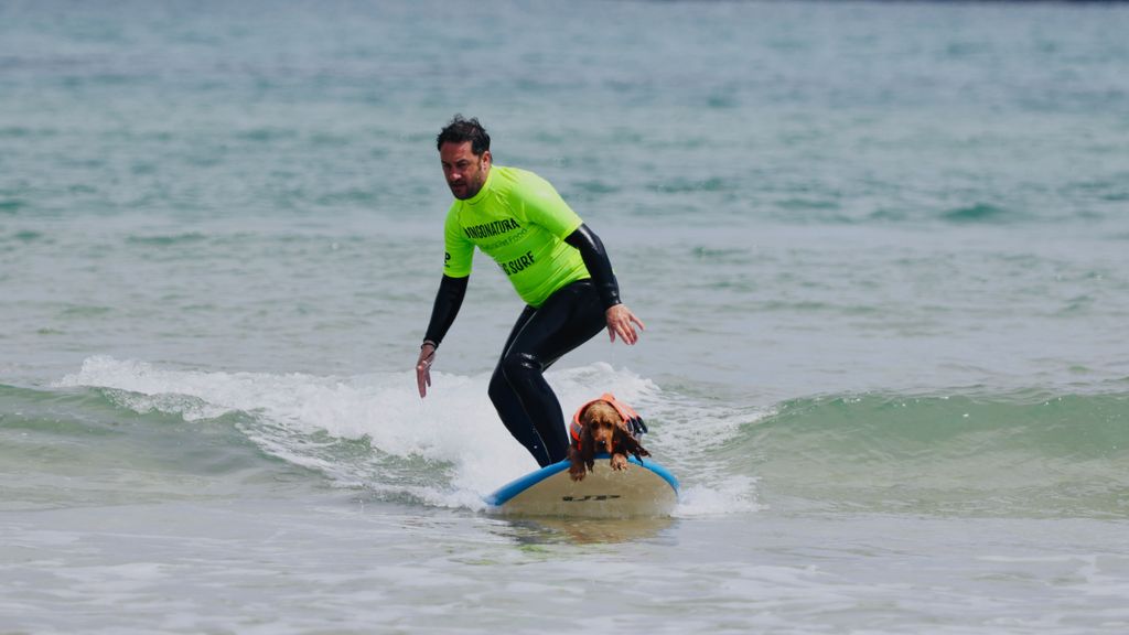 Perro surfero y su dueño