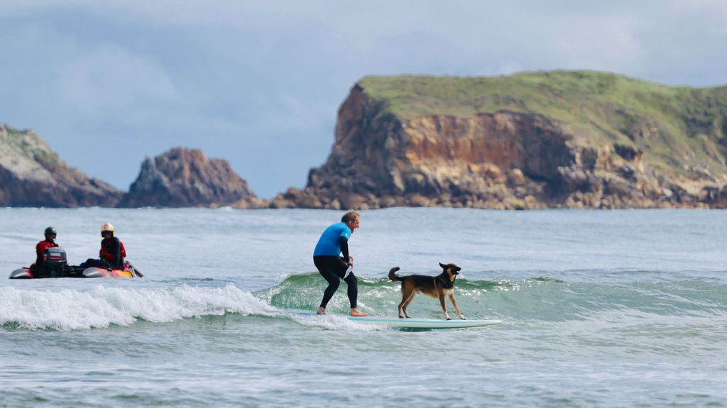 Surfing with the dog