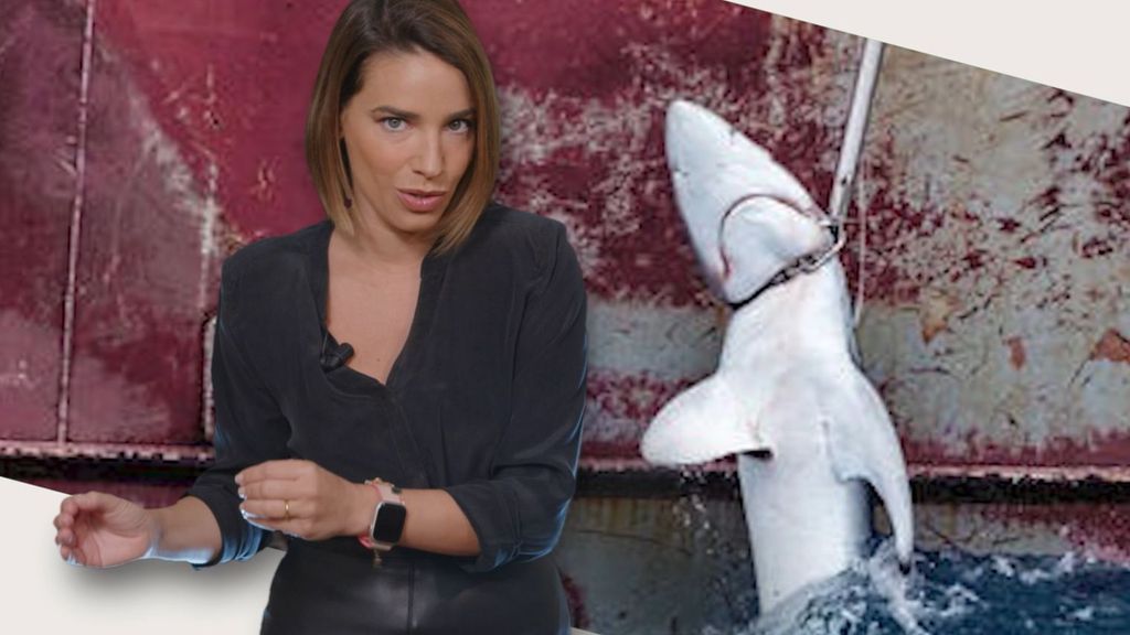 El daño que la película 'Tiburón' le causó a los animales Informativos Telecinco Tiempo de Flora 106