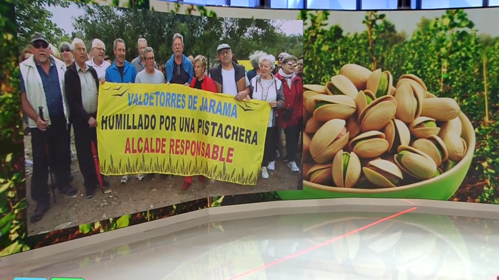 La amenaza del pistacho en el municipio de Valdetorres de Jarama