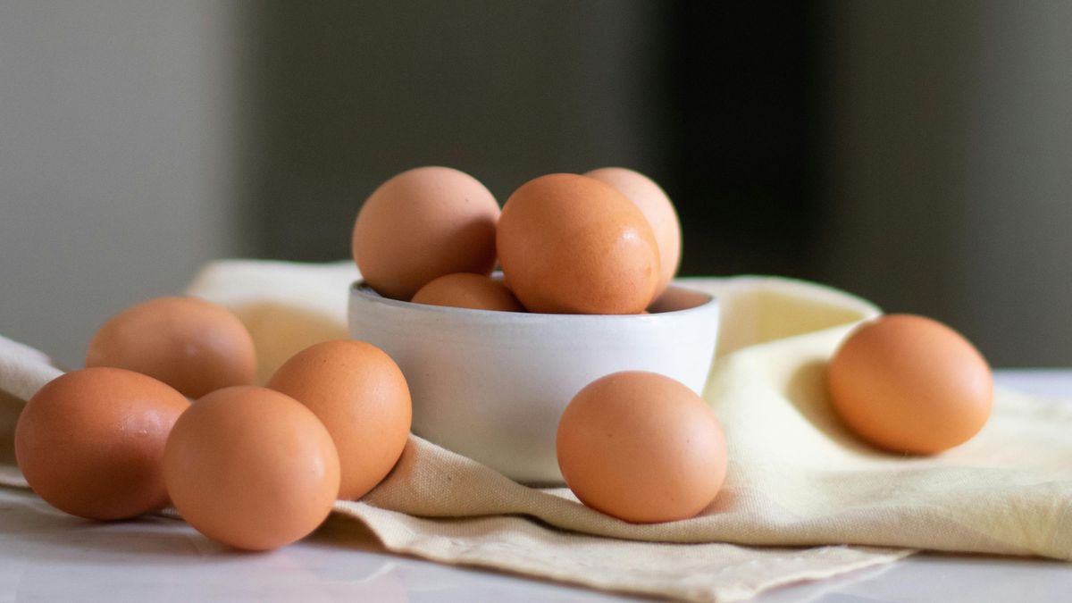 Los huevos son muy importantes en nuestra alimentación