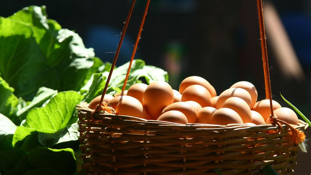 Los huevos son ricos en nutrientes y antioxidantes. FUENTE: Pexels