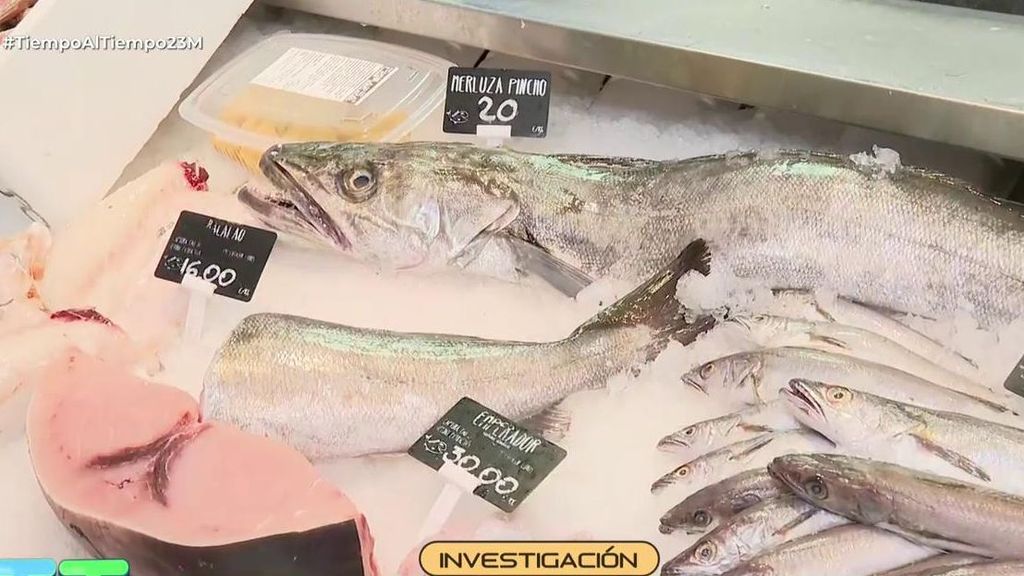 Investigación | Crecen en España los pescados contaminados: ¿en qué nos debemos fijar?