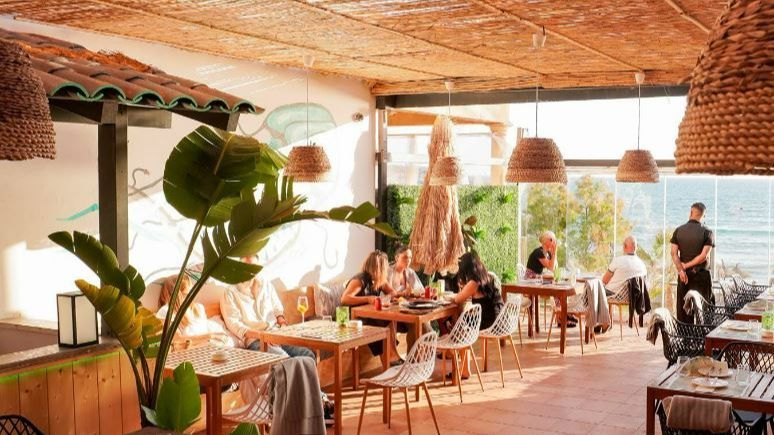 Terraza Medusa Beach Club