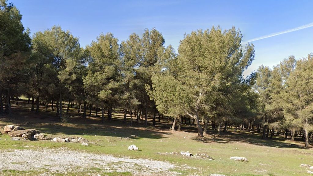 Bosque en Cumbres Verdes, en La Zubia