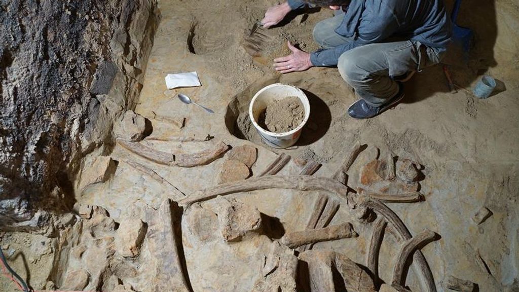 Asombroso hallazgo en Austria: un viticultor encuentra huesos de mamut en su bodega