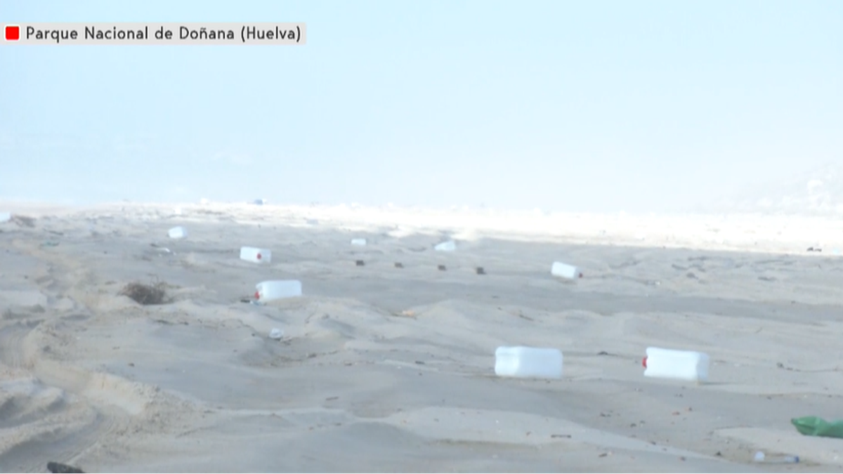 Ecoembes y SEO Birdlife se unen contra la basuraleza con el Proyecto LIBERA