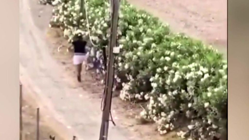 Un vídeo muestra cómo el hombre acusado de matar a otro en Alfafar se deshizo de la escopeta en unos arbustos