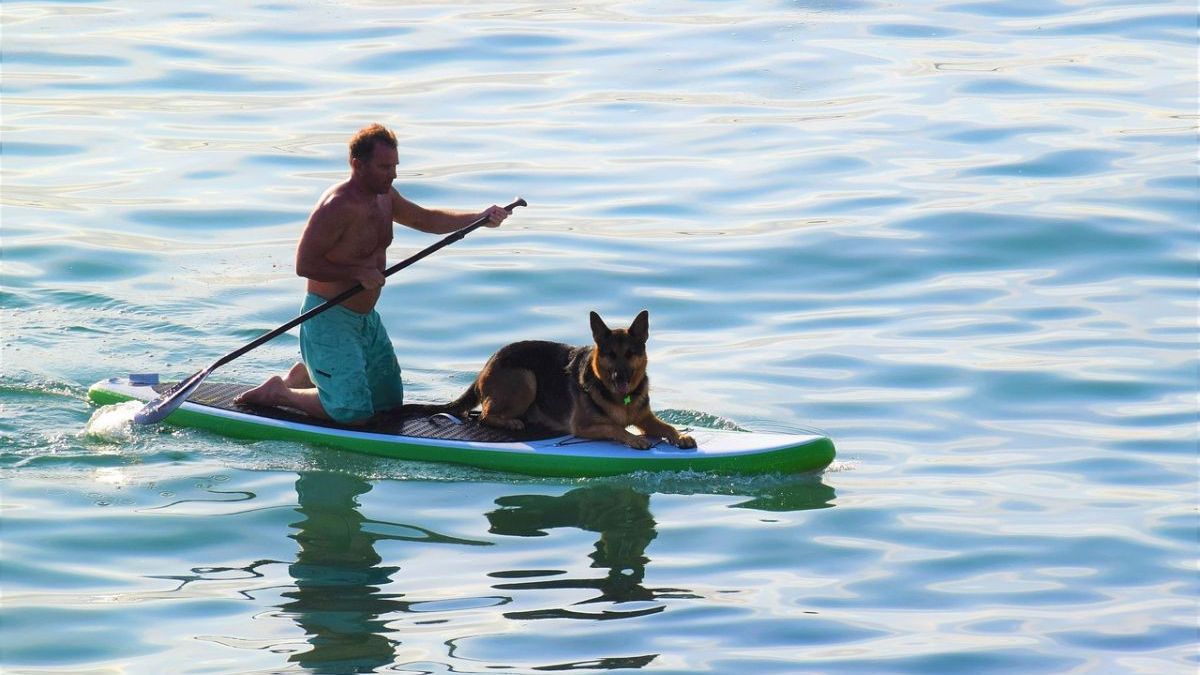 Las 10 mejores tablas de paddle surf del 2024: guía de compra, recomendaciones y precios