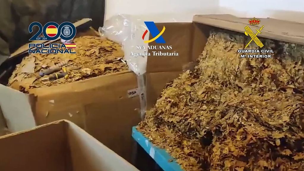 Una organización criminal dedicada al contrabando de tabaco, con más de 12 toneladas de picadura y precursores, ha sido desarticulada