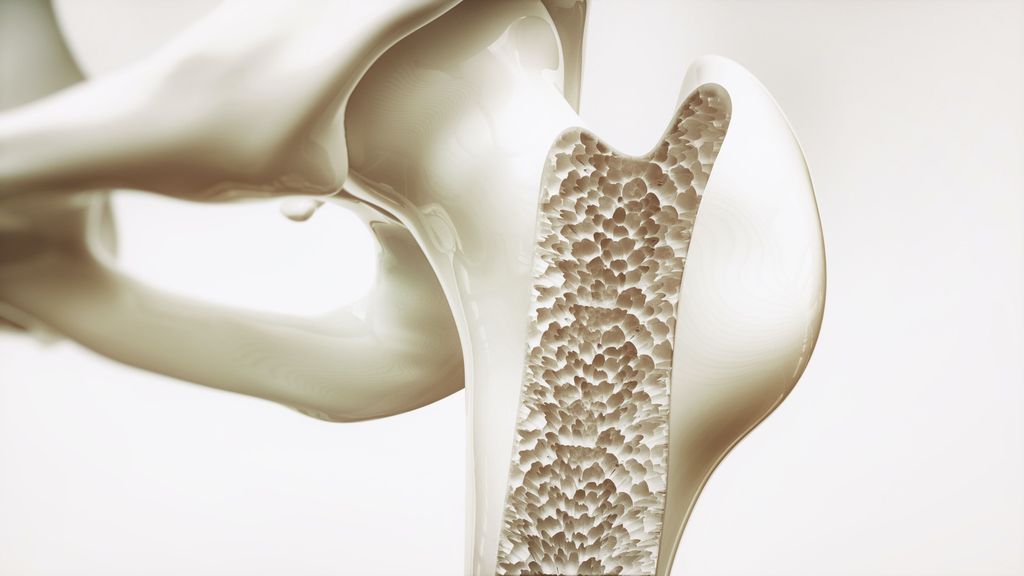 Científicos de la Universidad Complutense de Madrid, desarrollan un dispositivo que lucha contra la osteoporosis