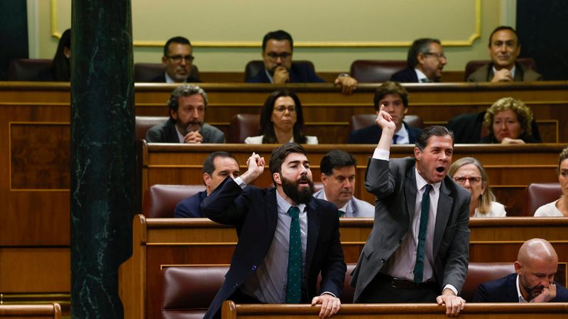 La pelea en el Congreso entre los diputados de Vox y Sumar
