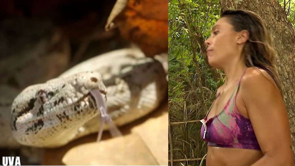 El momento de tensión de Blanca Manchón con una serpiente: "¡Desde mi colchoneta hasta aquí!"