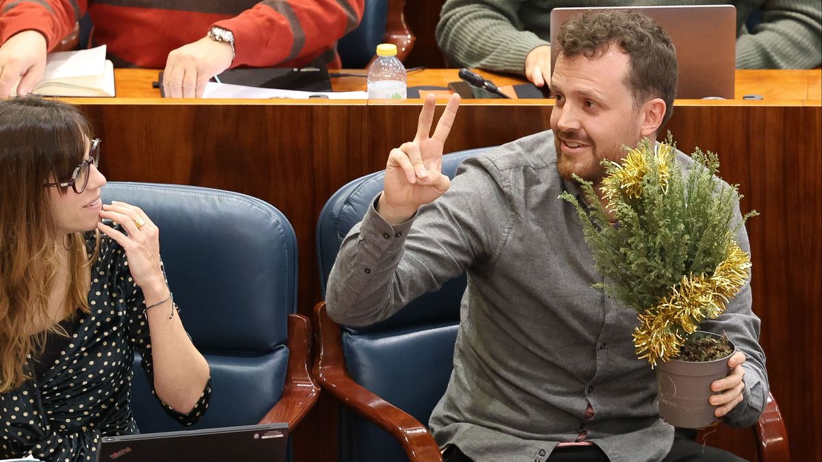 El diputado de Más Madrid en la Asamblea, Pablo Padilla