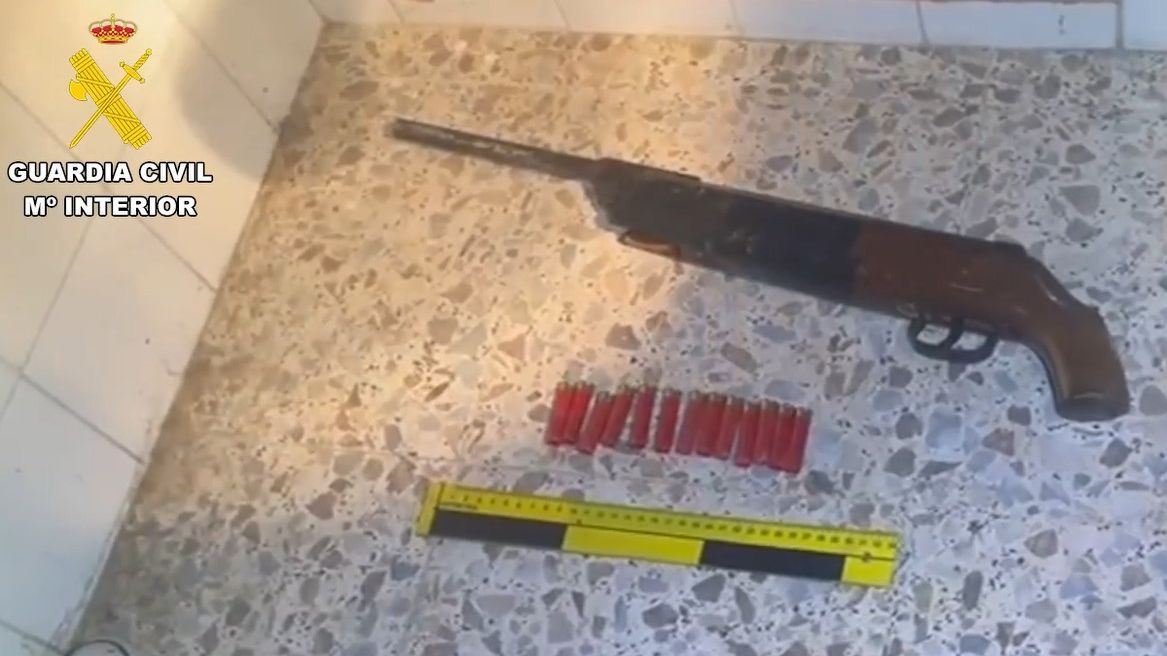 Escopeta y munición