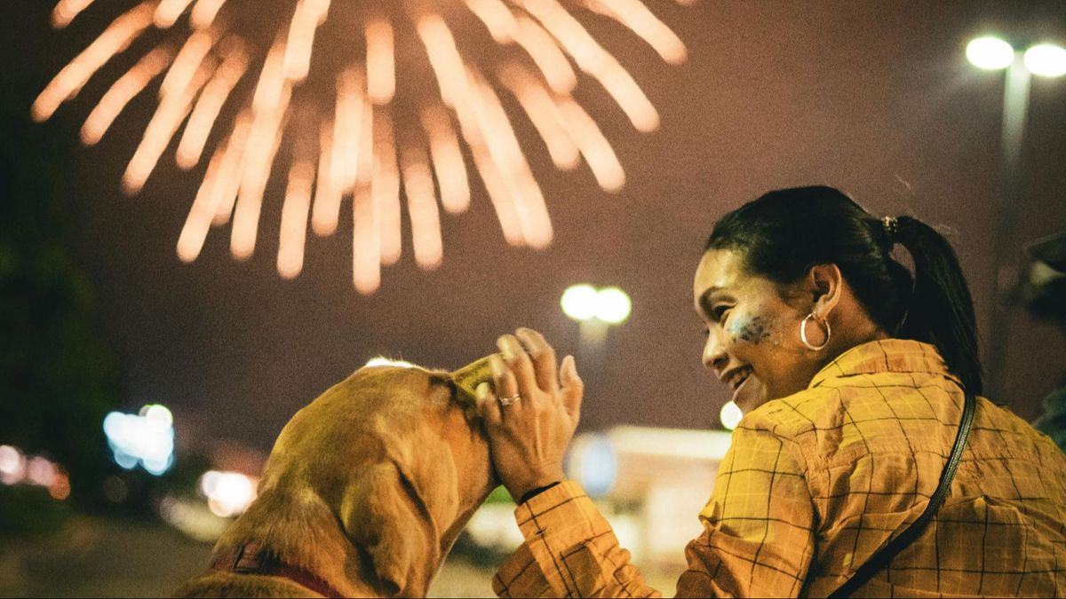 Un perro y su dueña frente a fuegos artificiales