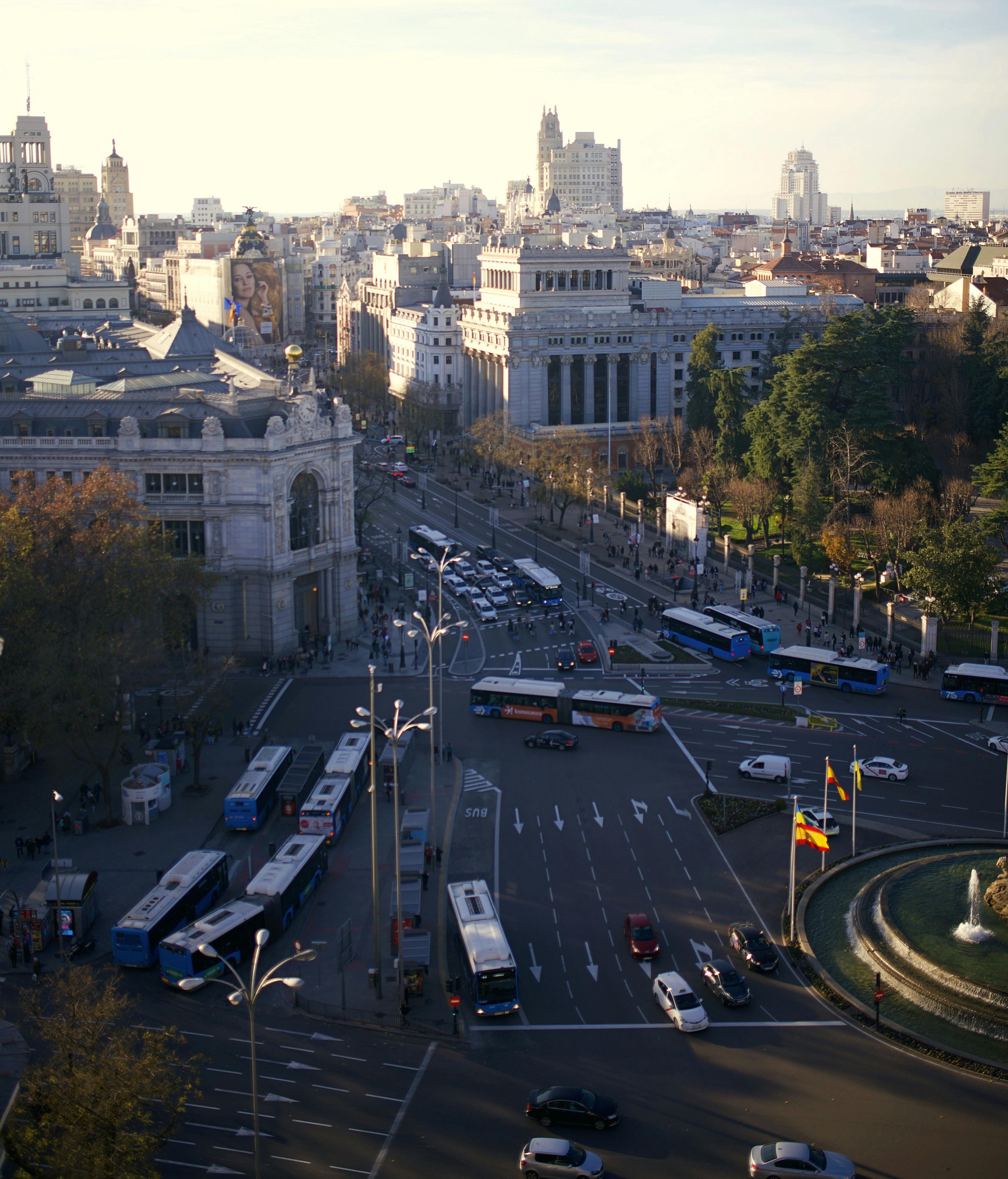 pexels bluemix 16495704