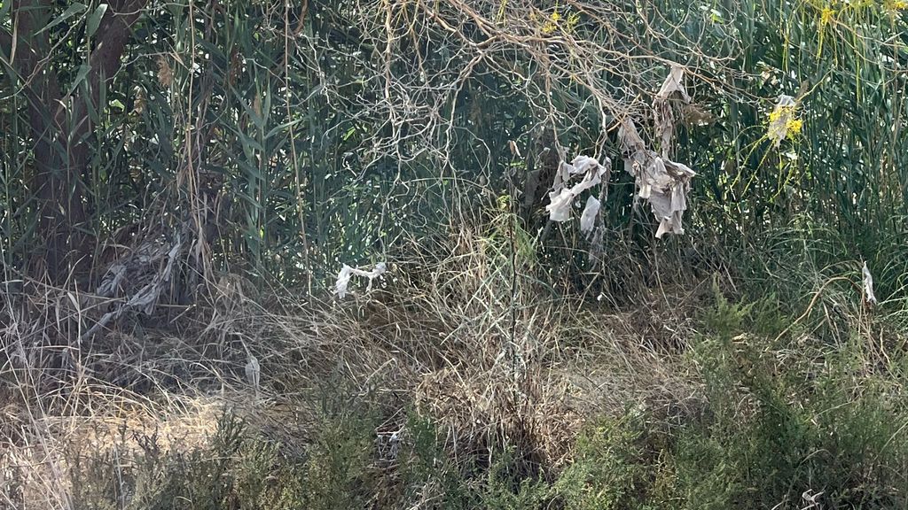 Elche elabora un plan de actuación para combatir el vertido de toallitas al río Vinalopó