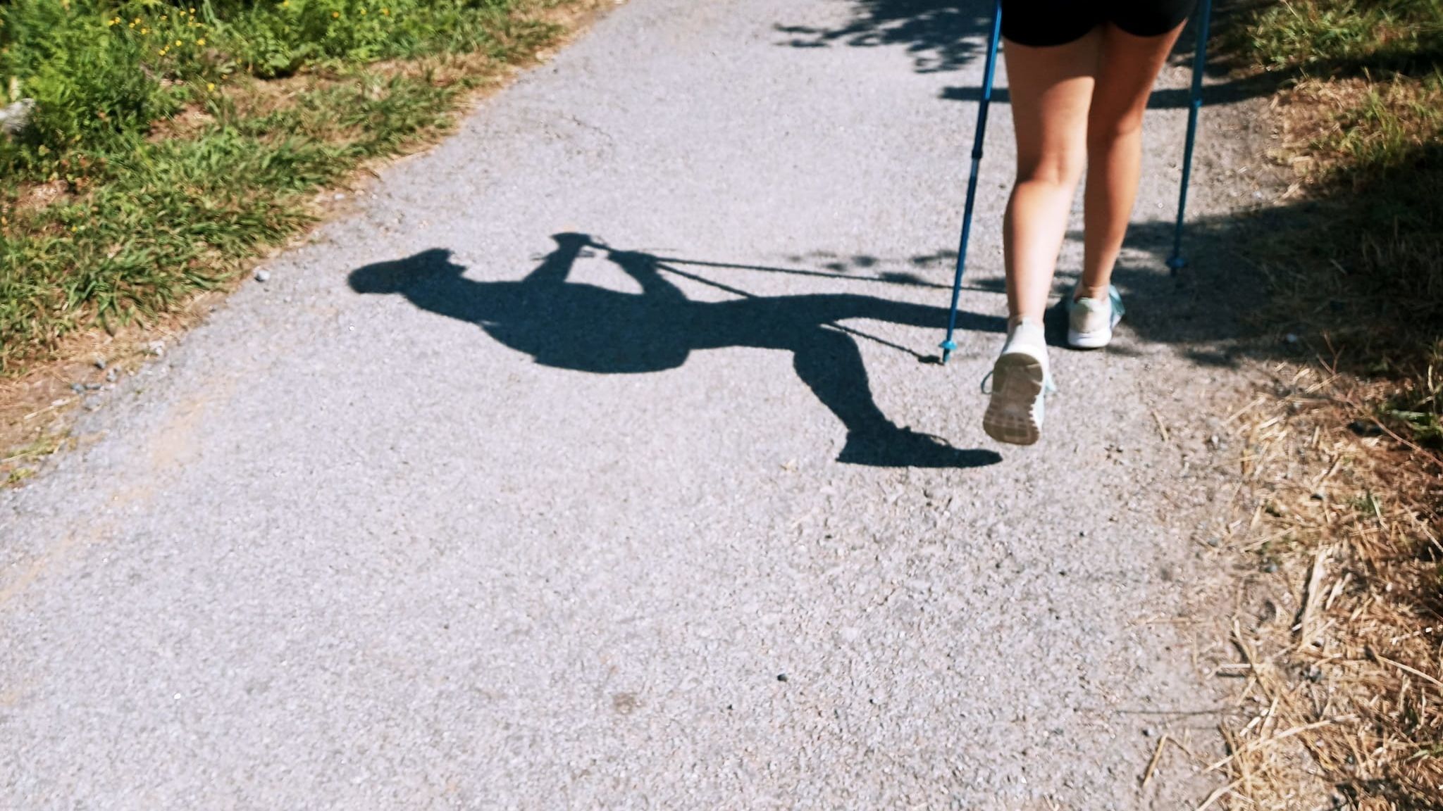 Nueva edición del 'Camino de los Valores': 150 jóvenes preparan el Camino de Santiago canario