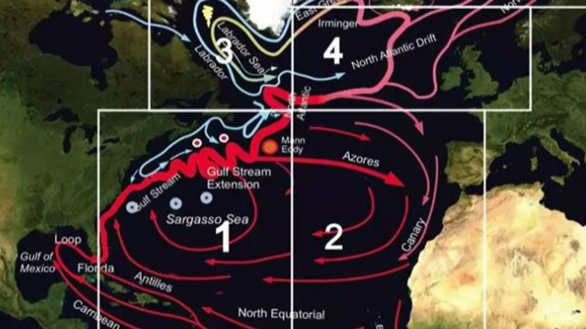 AMOC, la corriente atlántica que podría colapsar a partir de 2025
