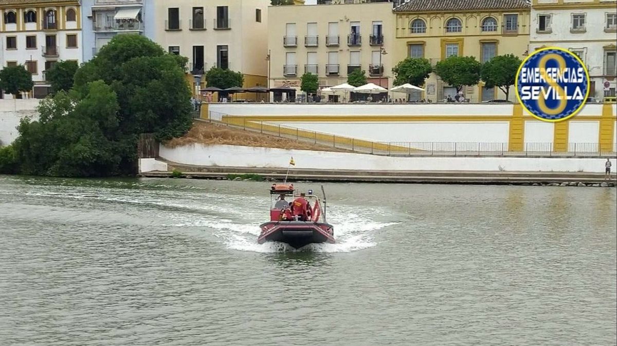 Localizan el cadáver de un joven en la dársena del Guadalquivir a la altura del Paseo Colón, Sevilla