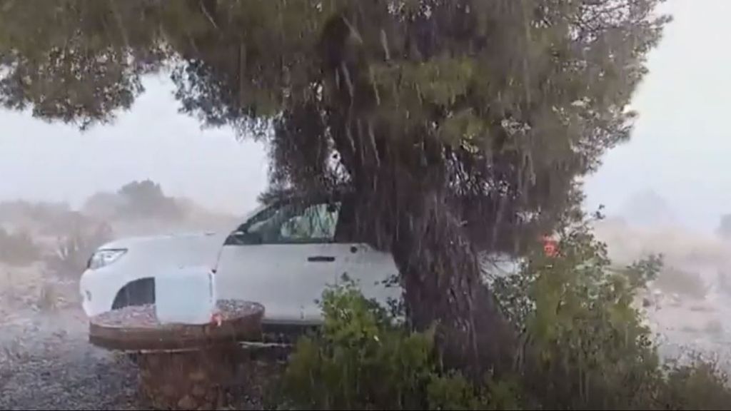 Una Dana inunda las calles de Valencia, Alicante y Murcia y afecta a miles de hectáreas de cultivos