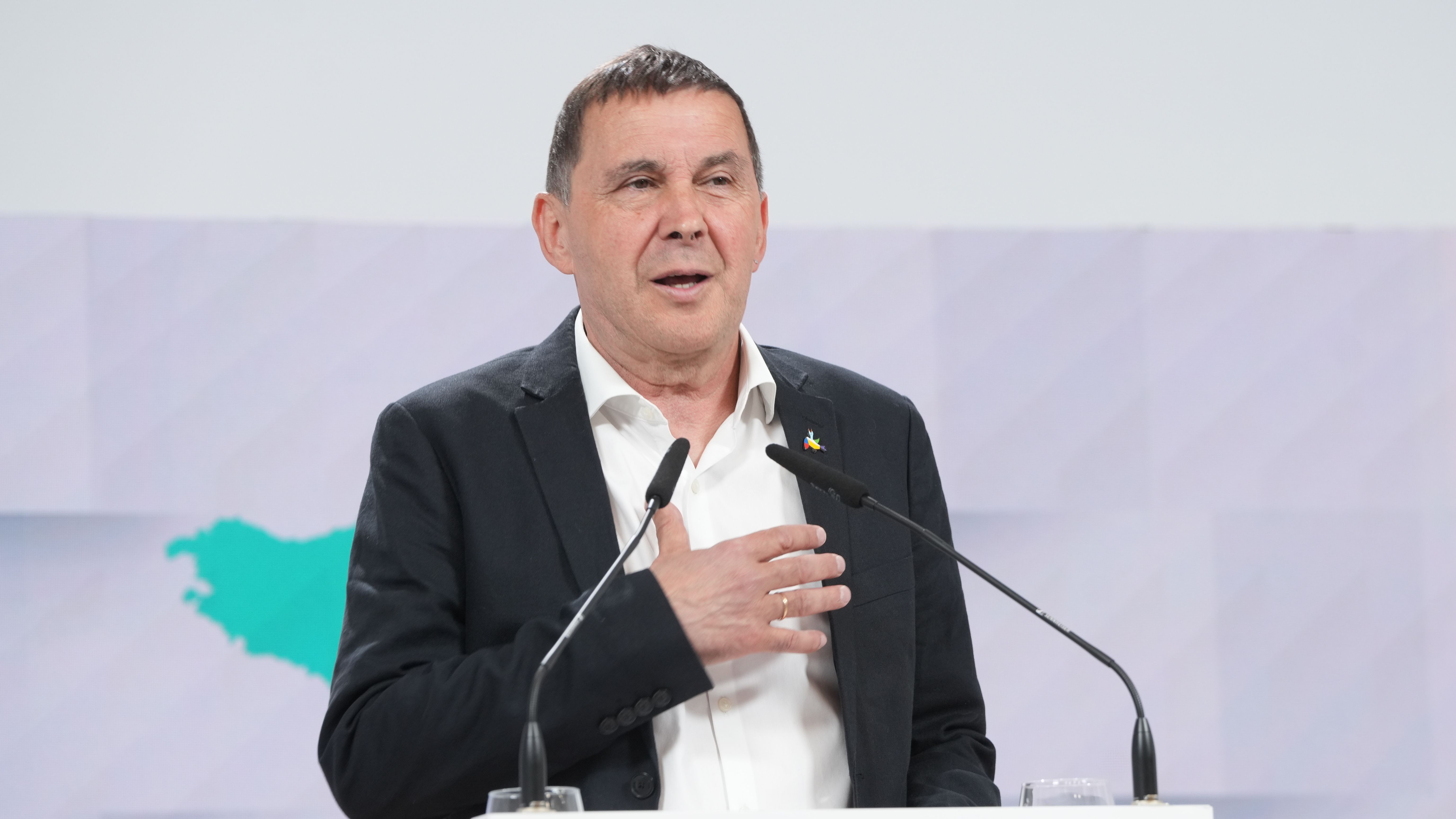 El coordinador general de EH Bildu, Arnaldo Otegi