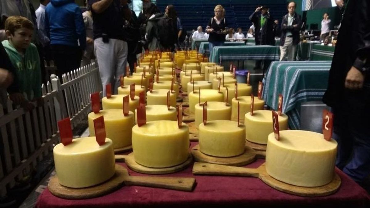 Muestra de quesos de la denominación de origen Idiazabal en el World Cheese Awards en Bergen