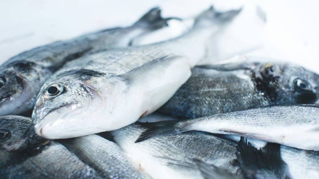 Presencia de mercurio en el pescado