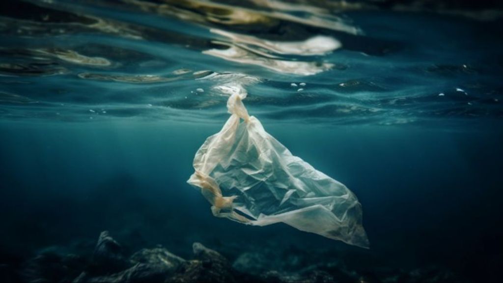 Una bolsa de plástico en el mar puede atrapar a un animal o camuflarse cómo un posible alimento