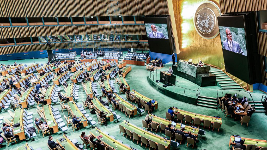 Asamblea General de Naciones Unidas