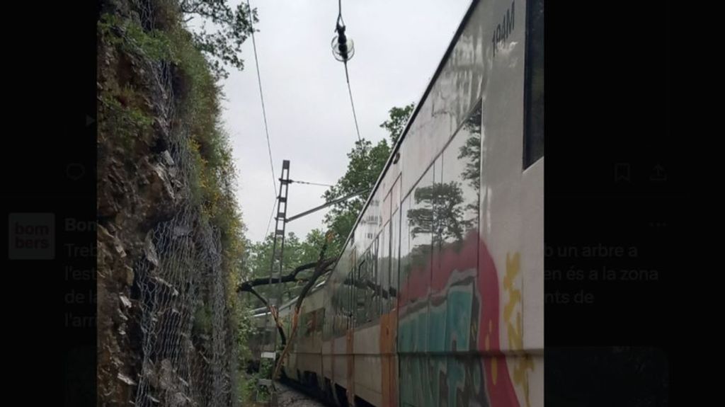 Cinco heridos al descarrilar un tren de media distancia tras chocar con un árbol caído en la vía en Almansa