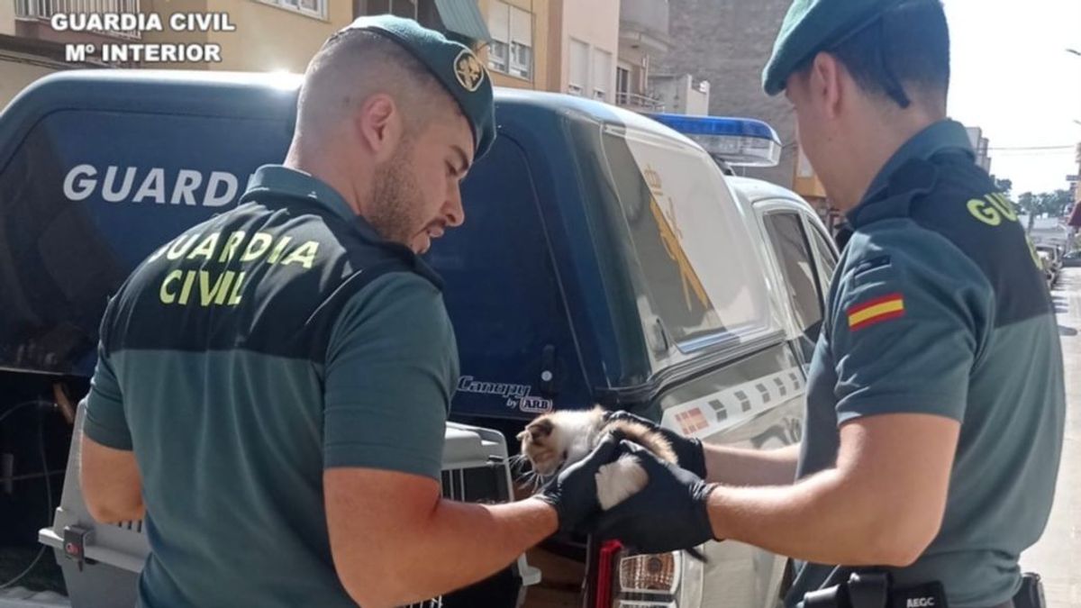 Los agentes con el gato tras rescatarlo