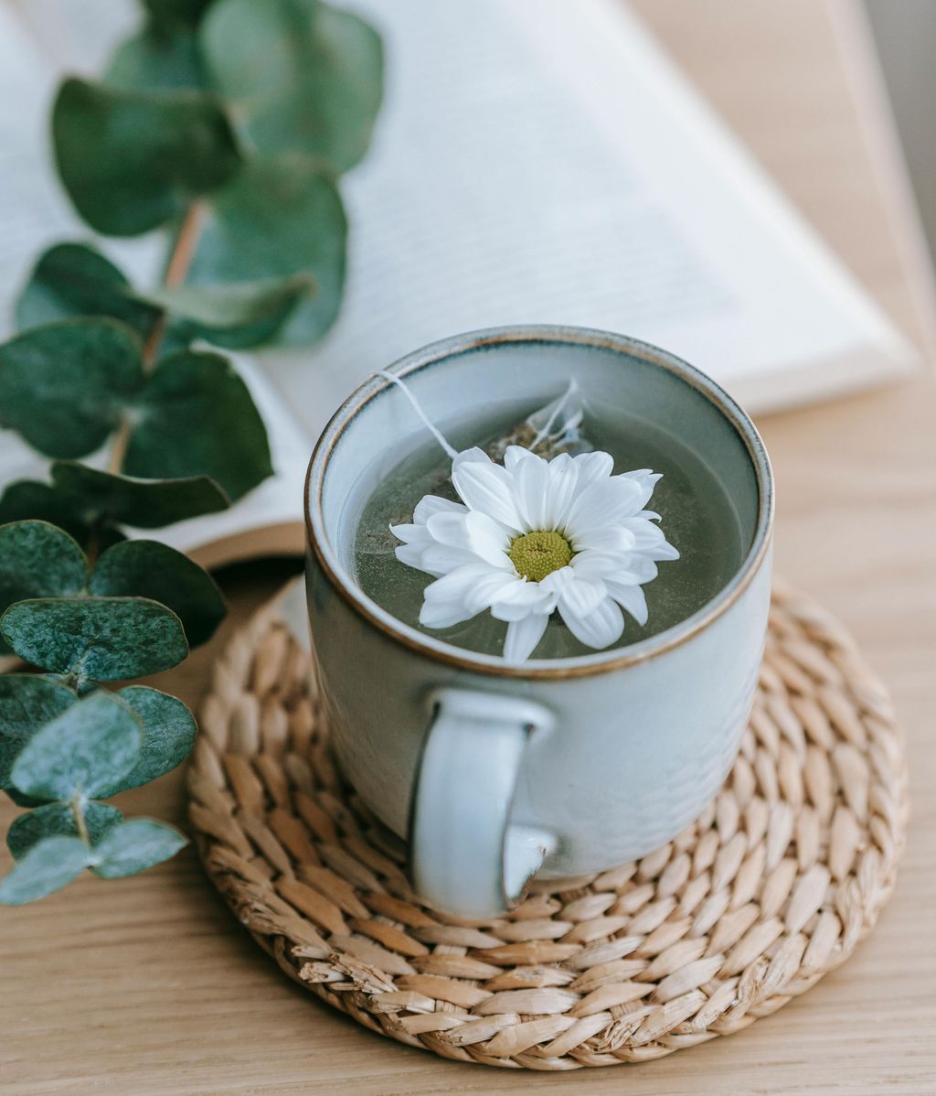 Toma una infusión de manzanilla antes de ir a dormir. FUENTE: Pexels