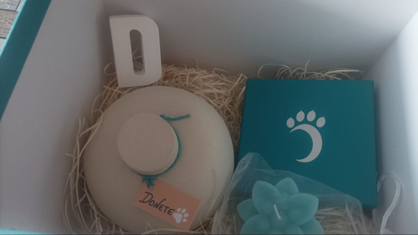 Las cenizas de un perro incinerado en Incivet